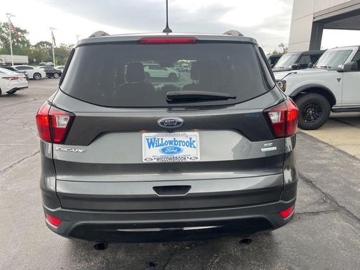 Magnetic 2019 Ford Escape SE