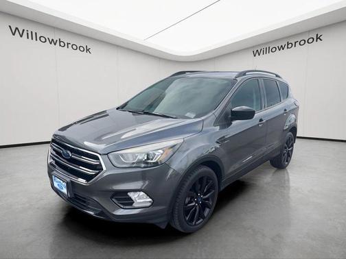 Magnetic 2019 Ford Escape SE