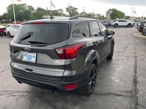 Magnetic 2019 Ford Escape SE