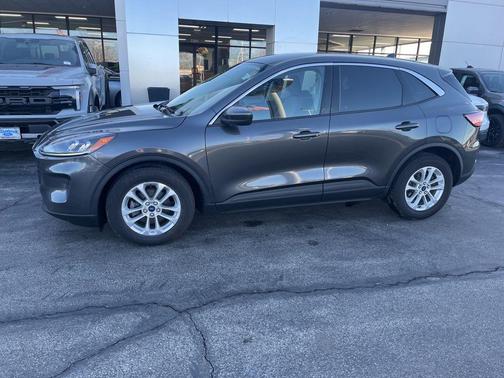 Magnetic 2020 Ford Escape SE