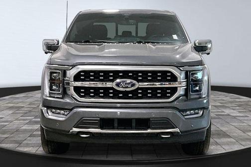 Gray Metallic 2021 Ford F-150 Platinum