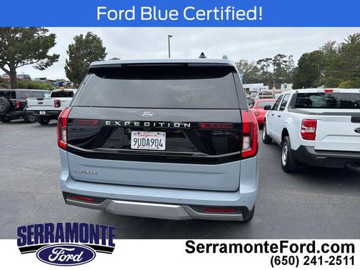 Glacier Gray Met Tricoat 2025 Ford Expedition Platinum