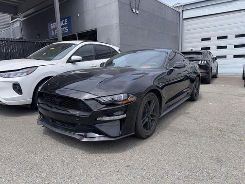 Shadow Black 2019 Ford Mustang EcoBoost
