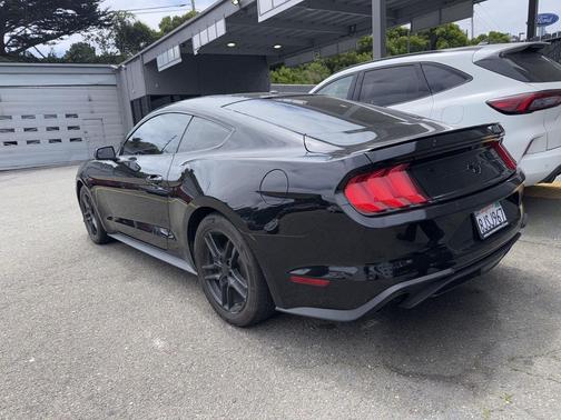 Shadow Black 2019 Ford Mustang EcoBoost