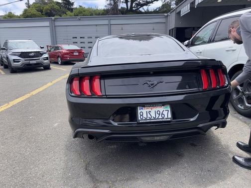 Shadow Black 2019 Ford Mustang EcoBoost