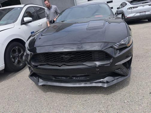 Shadow Black 2019 Ford Mustang EcoBoost