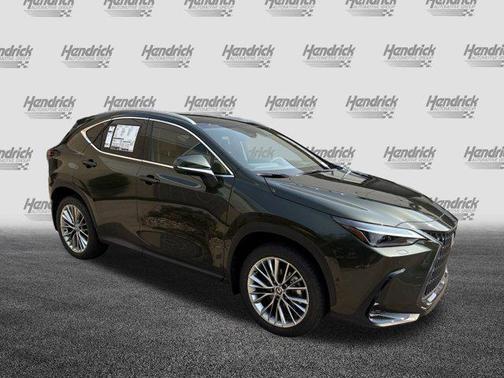 2025 Lexus NX 350 Luxury