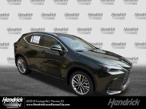 2025 Lexus NX 350 Luxury