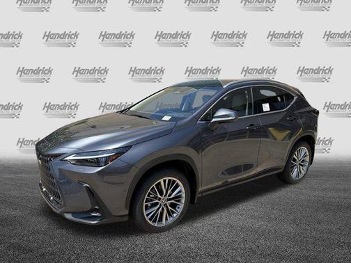 2025 Lexus NX 350h Luxury