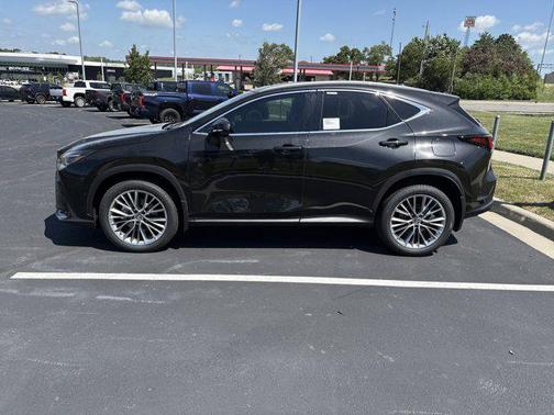 2025 Lexus NX 350 Luxury