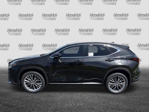 2025 Lexus NX 350 Luxury