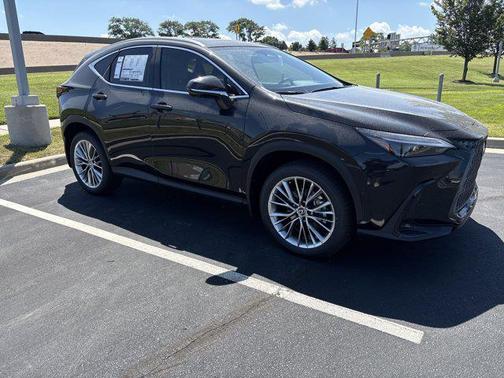 2025 Lexus NX 350 Luxury