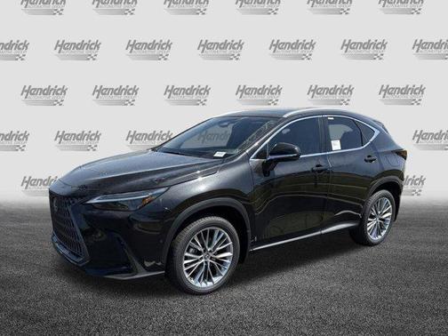 2025 Lexus NX 350 Luxury