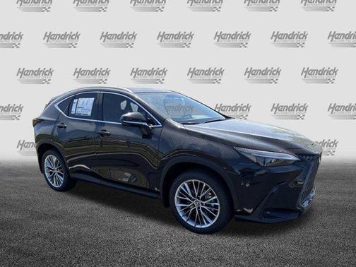 2025 Lexus NX 350 Luxury