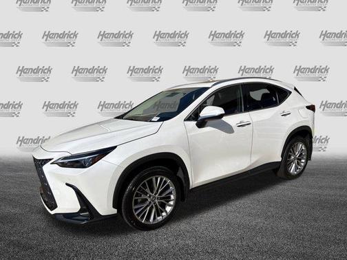 2025 Lexus NX 350 Premium