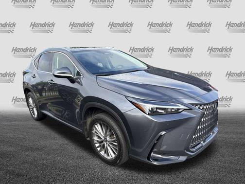 2025 Lexus NX 350 Premium