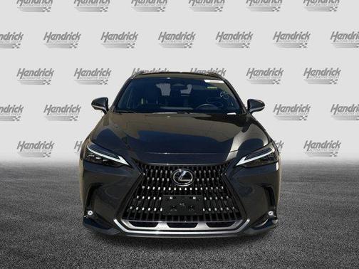 2024 Lexus NX 350h Luxury