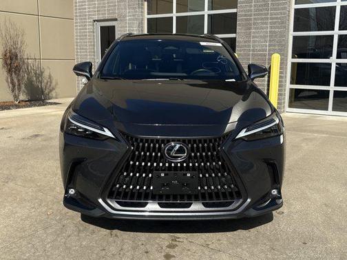 2024 Lexus NX 350h Luxury
