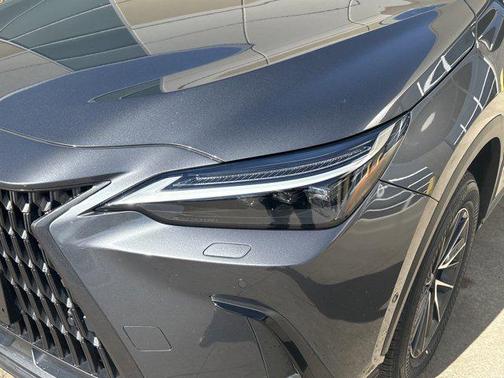 2024 Lexus NX 350h Luxury