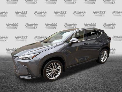 2025 Lexus NX 350 Premium