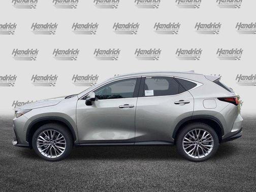 2025 Lexus NX 350h Luxury