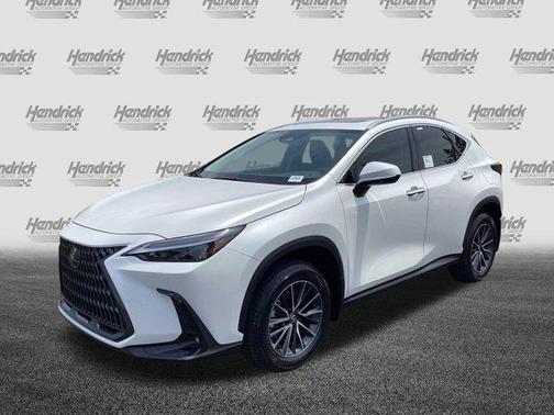 2025 Lexus NX 250 Base