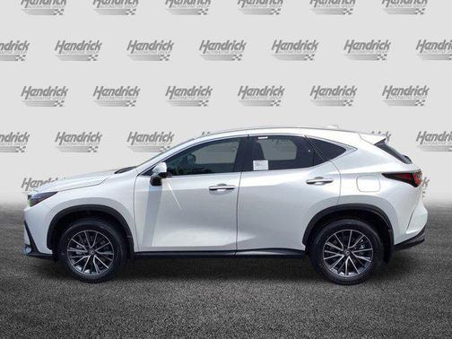 2025 Lexus NX 250 Base