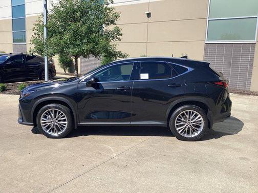 2025 Lexus NX 350 Luxury