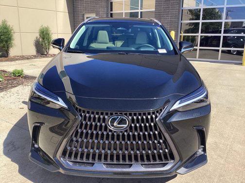 2025 Lexus NX 350 Luxury