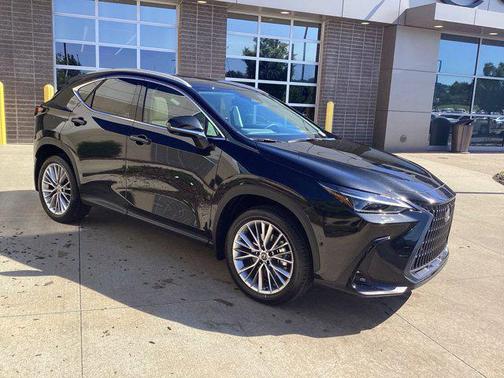 2025 Lexus NX 350 Luxury
