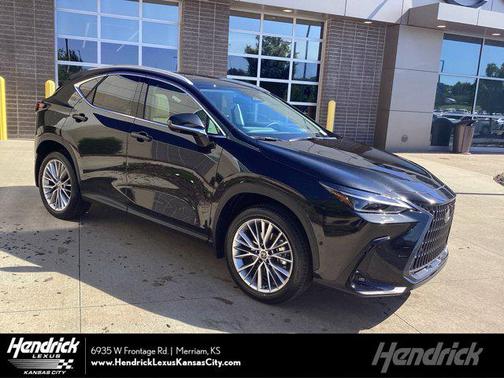 2025 Lexus NX 350 Luxury