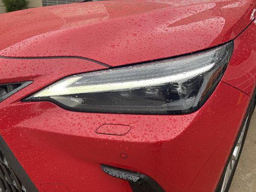 Redline 2025 Lexus NX 350 Luxury