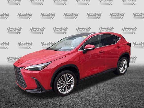 Redline 2025 Lexus NX 350 Luxury