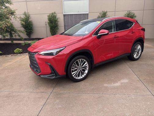 Redline 2025 Lexus NX 350 Luxury