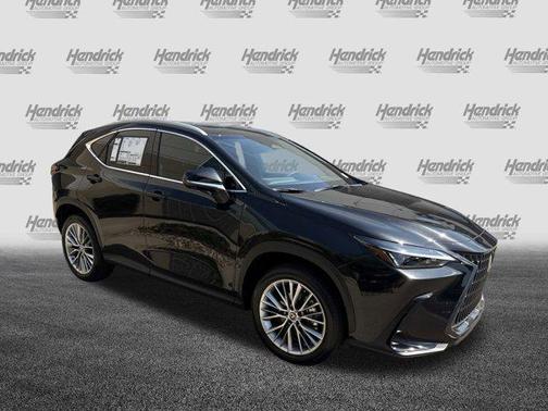 2025 Lexus NX 350 Premium