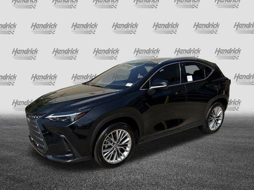 2025 Lexus NX 350 Premium
