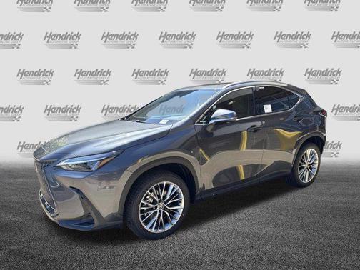 Cloudburst Gray 2026 Lexus NX 350 Premium