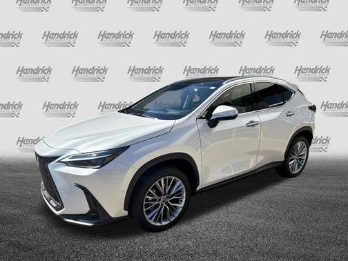 2025 Lexus NX 350 Luxury