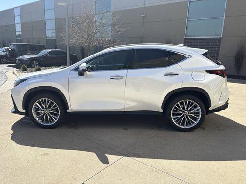 2025 Lexus NX 350 Luxury