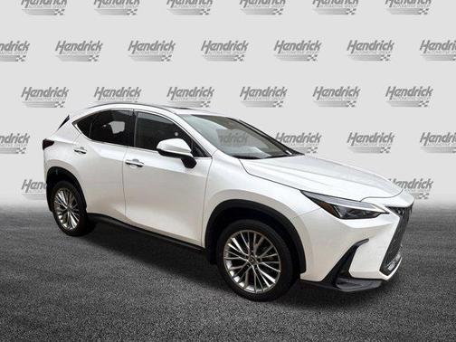 2025 Lexus NX 350 Premium