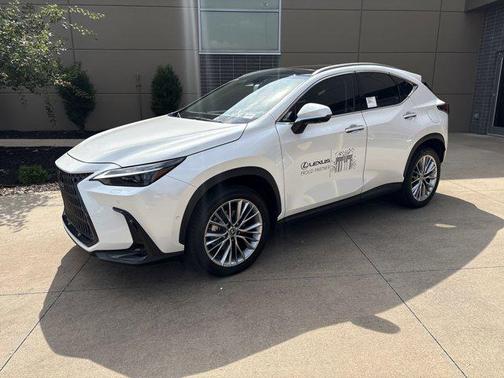 2025 Lexus NX 350 Luxury