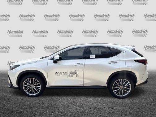 2025 Lexus NX 350 Luxury