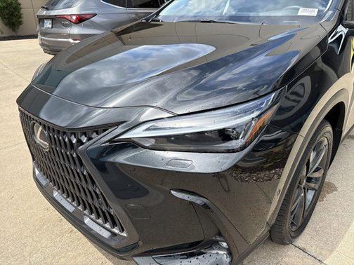 2025 Lexus NX 450h+ Luxury