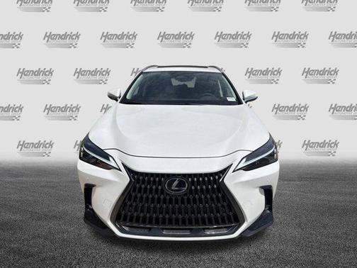 2025 Lexus NX 350 Premium