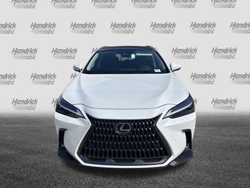 2025 Lexus NX 350 Luxury