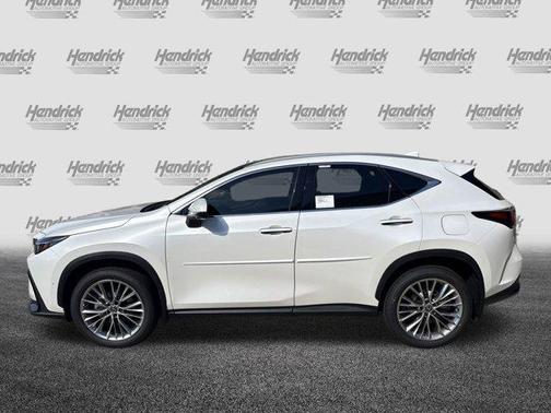 2025 Lexus NX 350 Luxury