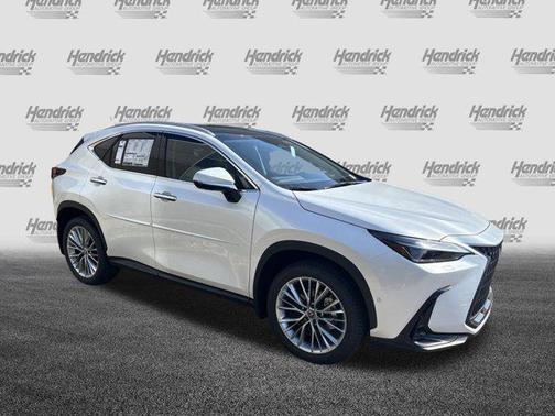 2025 Lexus NX 350 Luxury