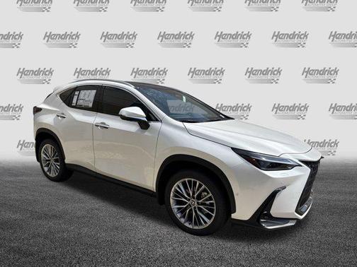 2025 Lexus NX 350 Luxury