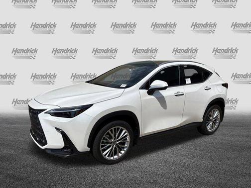 2025 Lexus NX 350 Luxury