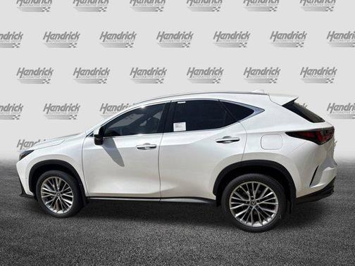 2025 Lexus NX 350 Luxury